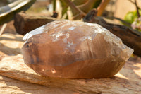 Natural Large Smokey Quartz Crystal x 1 From Mt. Mulanje, Malawi - TopRock