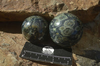 Polished Stromatolite / Kambamba Jasper Spheres  x 3 From Madagascar - TopRock