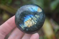 Polished Mixed Labradorite Items  x 14 From Madagascar - Toprock Gemstones and Minerals 