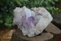 Natural Jacaranda Amethyst Clusters  x 2 From Zambia - Toprock Gemstones and Minerals 