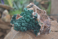 Natural Rare Ball Malachite On Drusy Quartz & Dolomite Matrix  x 1 From Kambove, Congo - Toprock Gemstones and Minerals 