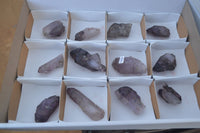 Natural Small Window Amethyst Crystals with Enhydro Bubble x 12 From Chiredzi, Zimbabwe