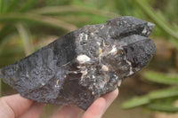 Natural Large Single Morion Smokey Quartz Crystals  x 2 From Melanje, Malawi - TopRock