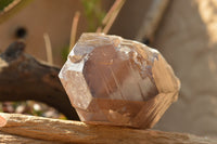 Natural Large Smokey Quartz Crystal x 1 From Mt. Mulanje, Malawi - TopRock