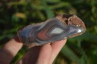 Polished River Agate Nodules  x 6 From Zimbabwe