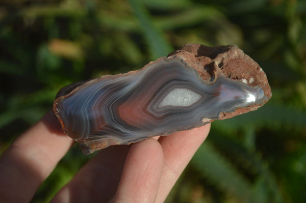 Polished River Agate Nodules  x 6 From Zimbabwe