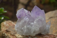 Natural Jacaranda Amethyst Clusters  x 3 From Mumbwa, Zambia - Toprock Gemstones and Minerals 