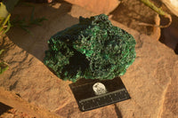 Natural Chatoyant Silky Malachite Specimen  x 1 From Congo