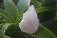 Polished Gemmy Rose Quartz Flames x 3 From Madagascar