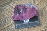 Natural Pink Salrose Cobaltion Dolomite Specimens  x 6 From Kakanda, Congo