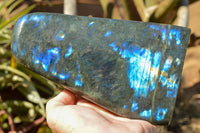 Polished Labradorite Standing Free Form With Deep Blue Flash x 1 From Sakoany, Madagascar - TopRock