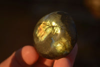 Polished  Flashy Labradorite Palm Stones  x 20 From Tulear, Madagascar