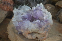 Natural Jacaranda Amethyst Cluster x 1 From Mumbwa, Zambia - TopRock