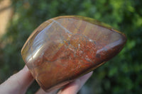 Polished Red Jasper Standing Free Forms  x 3 From Madagascar - Toprock Gemstones and Minerals 