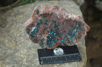 Natural Emerald Dioptase On Red Dolomite Matrix Specimen  x 1 From Likasi, Congo