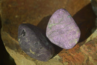 Polished Silky Purpurite Free Forms  x 12 From Namibia - TopRock