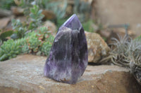 Polished Dream Amethyst Point x 1 From Madagascar