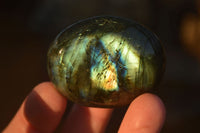 Polished  Flashy Labradorite Palm Stones  x 20 From Tulear, Madagascar