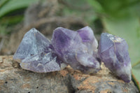 Natural Single Amethyst Crystals  x 35 From Zambia - Toprock Gemstones and Minerals 