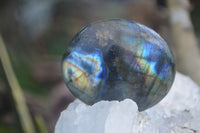 Polished Mixed Labradorite Items  x 14 From Madagascar - Toprock Gemstones and Minerals 