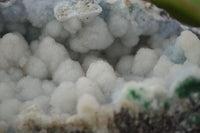 Natural Pure White Drusy Coated Balls With Malachite On Red Copper Dolomite  x 1 From Likasi, Congo