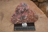 Natural Rough Pink Rhodonite Specimens  x 5 From Zimbabwe