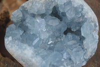 Natural Blue Celestite Geode Specimens  x 2 From Madagascar - Toprock Gemstones and Minerals 