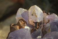 Natural Jacaranda Amethyst Cluster x 1 From Mumbwa, Zambia - TopRock