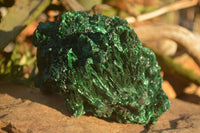 Natural Chatoyant Silky Malachite Specimen  x 1 From Congo