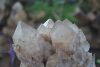 Natural Cascading White Phantom Smokey Quartz Cluster x 1 From Luena, Congo