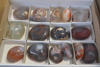 Polished River Agate Palm Stones  x 16 From Sashe River, Zimbabwe