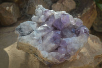 Natural Jacaranda Amethyst Cluster x 1 From Mumbwa, Zambia - TopRock