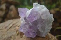 Natural Jacaranda Amethyst Clusters  x 3 From Mumbwa, Zambia - Toprock Gemstones and Minerals 