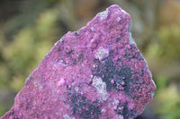 Natural Pink Salrose Cobaltion Dolomite Specimens  x 6 From Kakanda, Congo