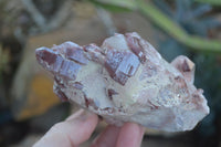 Natural Large Cascading Red Hematoid Quartz Specimens  x 3 From Karoi, Zimbabwe - Toprock Gemstones and Minerals 