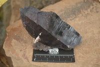 Natural Large Single Morion Smokey Quartz Crystals  x 2 From Melanje, Malawi - TopRock