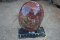 Polished Red Jasper Standing Free Forms  x 3 From Madagascar - Toprock Gemstones and Minerals 