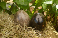 Polished Large Morion Smokey Quartz Eggs x 4 From Madagascar - TopRock