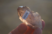 Natural Small Window Amethyst Crystals with Enhydro Bubble x 12 From Chiredzi, Zimbabwe