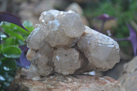 Natural Cascading White Phantom Smokey Quartz Cluster x 1 From Luena, Congo