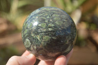 Polished Stromatolite / Kambamba Jasper Spheres  x 3 From Madagascar - TopRock