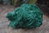 Natural Chatoyant Silky Malachite Specimens  x 2 From Kasompe, Congo