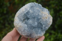 Natural Blue Celestite Geode Specimens  x 2 From Madagascar - Toprock Gemstones and Minerals 