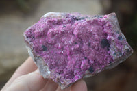 Natural Pink Salrose Cobaltion Dolomite Specimens  x 6 From Kakanda, Congo