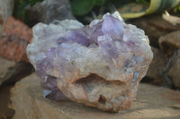 Natural Jacaranda Amethyst Cluster x 1 From Mumbwa, Zambia - TopRock