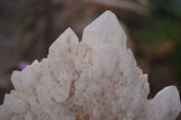 Natural Large Candle Quartz Crystals  x 2 From Madagascar