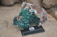 Natural Rare Ball Malachite On Drusy Quartz & Dolomite Matrix  x 1 From Kambove, Congo - Toprock Gemstones and Minerals 