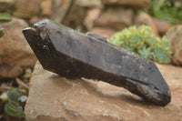 Natural Large Single Morion Smokey Quartz Crystals  x 2 From Melanje, Malawi - TopRock