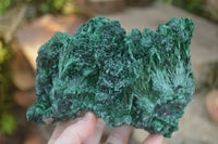 Natural Chatoyant Silky Malachite Specimen  x 1 From Congo