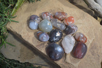 Polished River Agate Palm Stones  x 16 From Sashe River, Zimbabwe